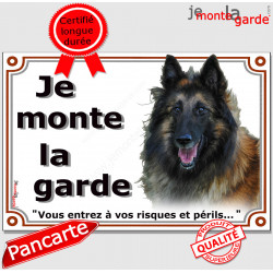 Berger Belge Tervueren, plaque portail " Je Monte la Garde, risques et périls" pancarte panneau attention au chien photo
