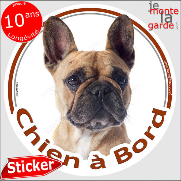 Bouledogue Français Fauve, sticker autocollant rond "Chien à Bord" disque photo adhésif vitre voiture Bulldog auto