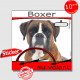 "Boxer au volant" panneau autocollant humoristique voiture photo sticker drôle Boxeur fauve marron chien à bord
