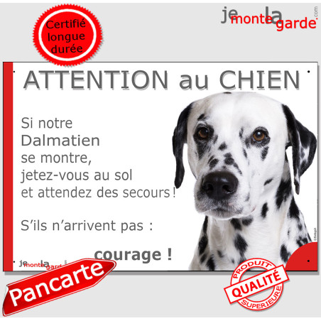 Dalmatien tête, plaque portail  humour "Attention au Chien, Jetez Vous au Sol, attendez des secours" photo blanc taches noires, 