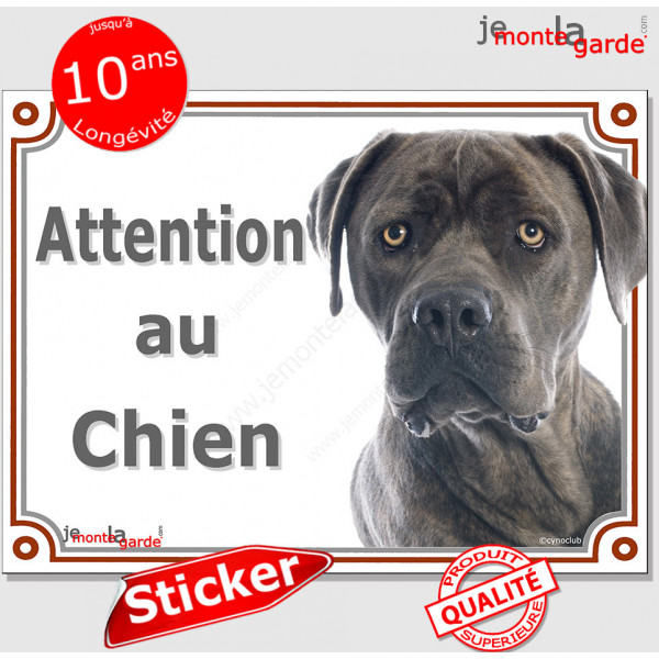 Cane Corso Italiano gris bleu, panneau photo autocollant "Attention au Chien" Pancarte adhésif sticker