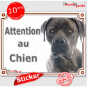 Cane Corso, autocollant photo "Attention au Chien" 16 cm