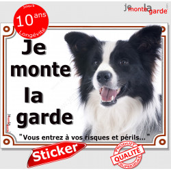 Border Collie, autocollant photo "Je Monte la Garde" 16 cm