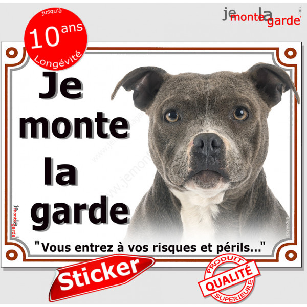 Amstaff gris bleu, panneau autocollant "Je Monte la Garde, risques périls" portail entrée, sticker adhésif photo American Staff