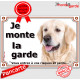 Golden Retriever, plaque portail "Je Monte la Garde, risques et périls" pancarte attention au chien panneau photo
