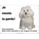 Bichon Bolonais, Plaque Portail Horizontale "Je monte la garde, risques et périls" panneau pancarte photo bolognais affiche