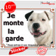 Amstaff blanc et noir, panneau autocollant "Je Monte la Garde, risques périls" portail entrée, sticker adhésif photo American