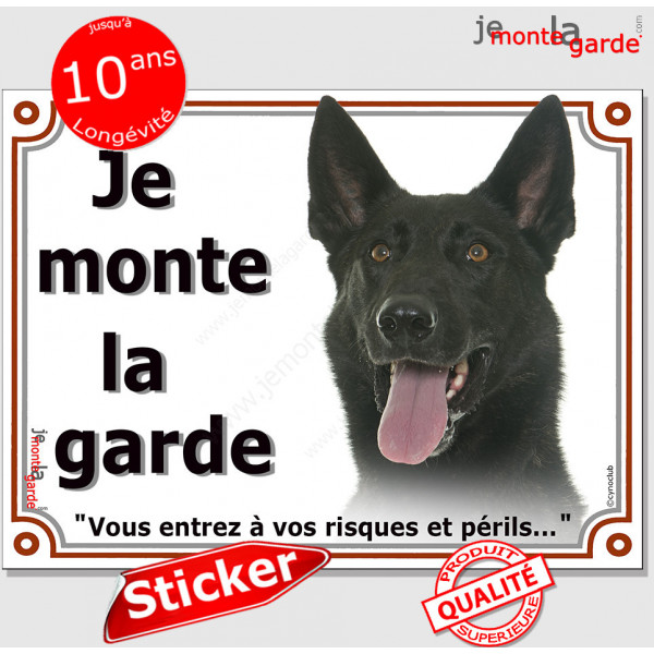 Berger Hollandais bringé foncé noir, panneau autocollant "Je Monte la Garde risques périls" portail entrée sticker adhésif photo