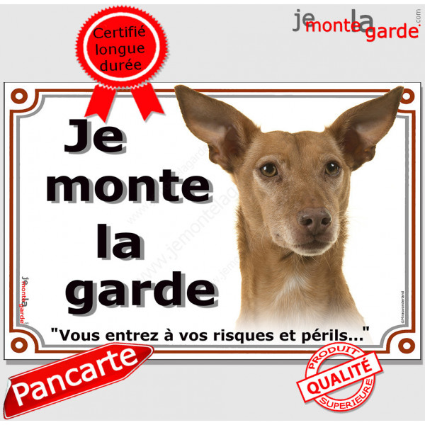 Podenco d'Ibiza, plaque portail "Je Monte la Garde, risques périls" pancarte panneau photo