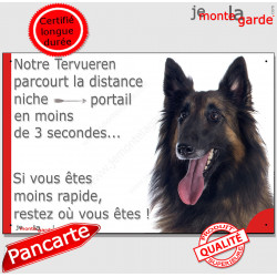 Berger Belge Tervueren, plaque humour "parcourt distance Niche-Portail moins 3 secondes, rapide" pancarte photo attention chien