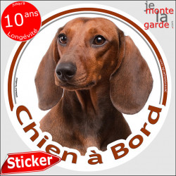 Teckel poils ras, sticker voiture rond "Chien à Bord" 14 cm