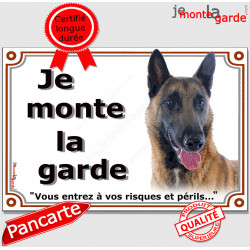 Berger Belge Malinois Tête, Plaque portail "Je Monte la Garde, risques périls" panneau affiche pancarte attention au chien photo