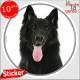 Berger Belge Groenendael, sticker rond "photo" disque adhési autocollant vitre voiture race chien noir