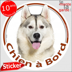 Husky Sibérien gris et blanc, sticker autocollant rond "Chien à Bord" Disque adhésif vitre voiture photo Huskies yeux marron
