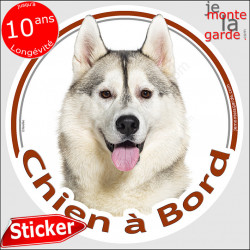 Husky gris, sticker voiture rond "Chien à Bord" 14 cm