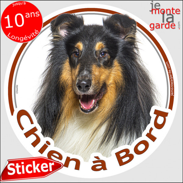 Colley noir et feu, sticker autocollant voiture rond "Chien à Bord"  Disque adhésif vitre photo Berger d'Ecosses, résiste pluie 