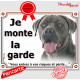 Cane Corso gris, plaque portail "Je Monte la Garde, risques et périls" pancarte panneau bleu bringué attention au chien photo