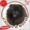 Spitz noir, sticker voiture rond "Chien à Bord" 2 tailles