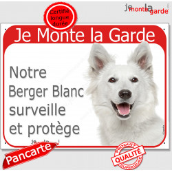 Berger Blanc Suisse Tête, Plaque portail Rouge "Je Monte la Garde, surveille protèg", photo panneau attention au chien