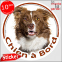 Border Collie marron, sticker voiture rond "Chien à Bord" 2 tailles D