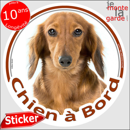 Teckel fauve à poils longs, sticker voiture rond photo "Chien à Bord" 2 tailles D