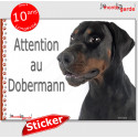 Dobermann, autocollant "Attention au Chien" 16 cm