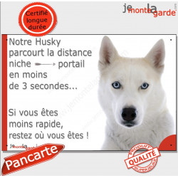 Husky tout blanc yeux bleus, plaque humour "parcourt Distance Niche - Portail moins 3 secondes" pancarte Attention au Chien