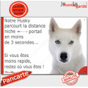 Husky tout blanc, plaque humour "distance Niche - Portail" 24 cm 3SEC