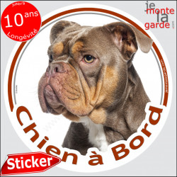 Bully, sticker voiture "Chien à Bord" 14 cm