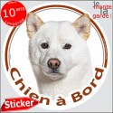 Akita Inu, sticker voiture "Chien à Bord" 14 cm