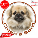 Epagneul Tibétain, disque autocollant voiture "Chien à Bord" 14 cm