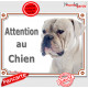 Bouledogue Américain tout blanc, plaque portail "Attention au Chien" pancarte panneau Bulldog USA