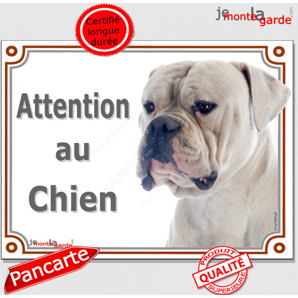 Bouledogue Américain tout blanc, plaque portail "Attention au Chien" pancarte panneau Bulldog USA