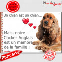 Cocker Golden, plaque photo "Membre de la Famille" 24 cm LOVE