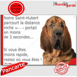 Saint-Hubert, plaque humour "parcourt distance Niche-Portail moins 3 secondes, rapide" pancarte photo attention au chien