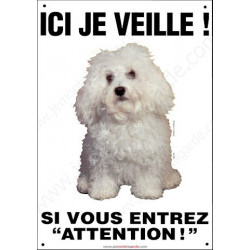 Bichon Bolonais, plaque verticale "Ici je Veille" 26,5 cm ECO