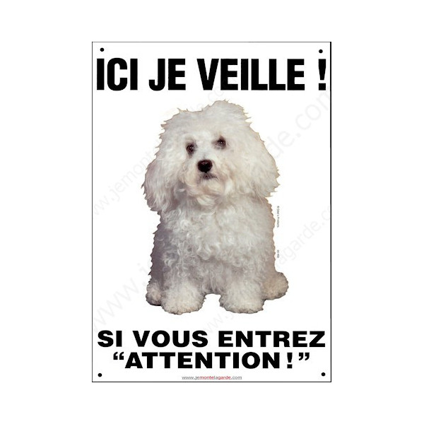 Bichon Bolonais, Pancarte Portail Verticale, attention au chien, panneau plaque affiche risques et périls bolognais