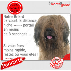 Briard fauve marron, plaque humour "distance Niche - Portail, moins 3 secondes rapide" panneau pancarte photo Berger de Brie