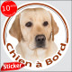 Labrador sable, sticker autocollant rond "Chien à Bord" Disque photo adhésif vitre voiture
