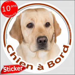 Labrador sable, sticker autocollant rond "Chien à Bord" Disque photo adhésif vitre voiture