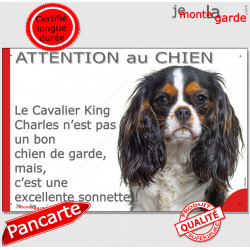 Plaque "Attention au Chien, notre Cavalier King Charles tricolore est une excellente sonnette" pancarte photo panneau humour