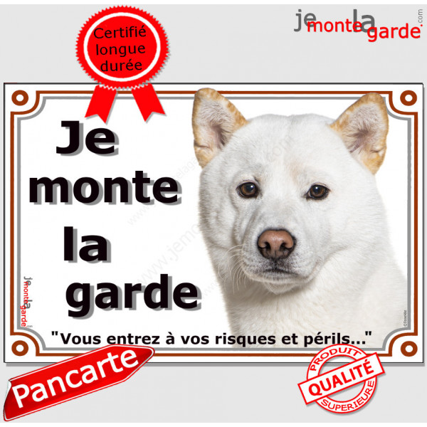 Akita Inu Japonais entièrement blanc, plaque portail "Je Monte la Garde, risques et périls" pancarte panneau attention au chien