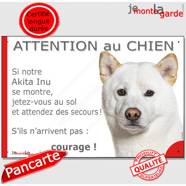 Akita Inu Japonais tout blanc, plaque portail humour "Attention au Chien, Jetez Vous au Sol, attendez secours, courage" photo