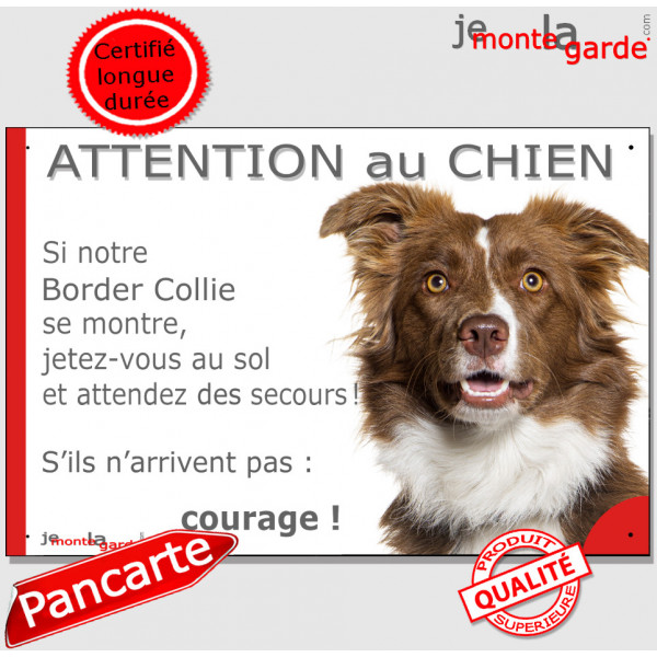 Border Collie marron chocolat poils longs couché, plaque portail humour "Attention au Chien, Jetez Vous au Sol, attendez des sec