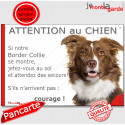 Border Collie, plaque humour "Jetez Vous au Sol, Attention au Chien" 24 cm JET