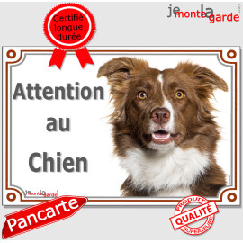 Border Collie marron chocolat et blanc, plaque portail "Attention au Chien" photo race, résiste pluie soleil gel, idée cadeau
