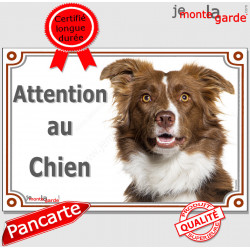 Border Collie marron chocolat et blanc, plaque "Attention au Chien" pancarte photo race, panneau portail