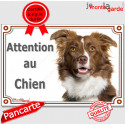 Border Collie, plaque portail "Attention au Chien" 24 cm LUX