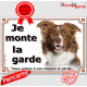 Border Collie marron brun et blanc, plaque portail "Je Monte la Garde, risques périls" pancarte panneau photo