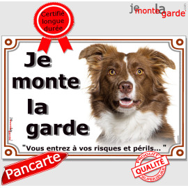 Border Collie marron chocolat et blanc, plaque portail "Je Monte la Garde, vous entrez à vos risques et périls" photo, résiste p